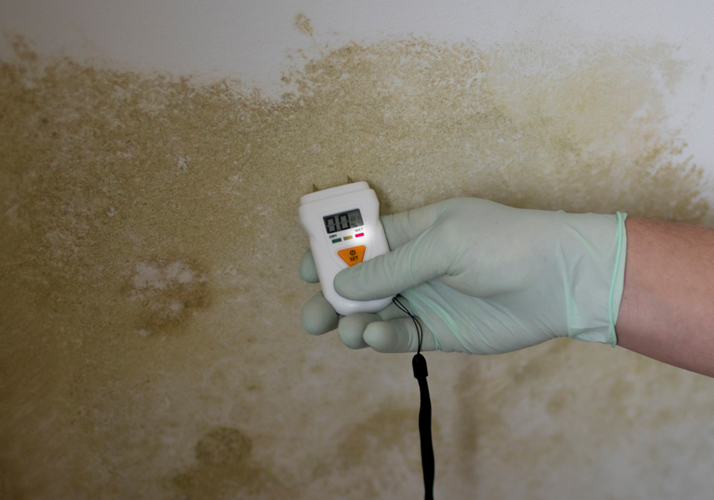 mold inspection and testing in west palm beach florida