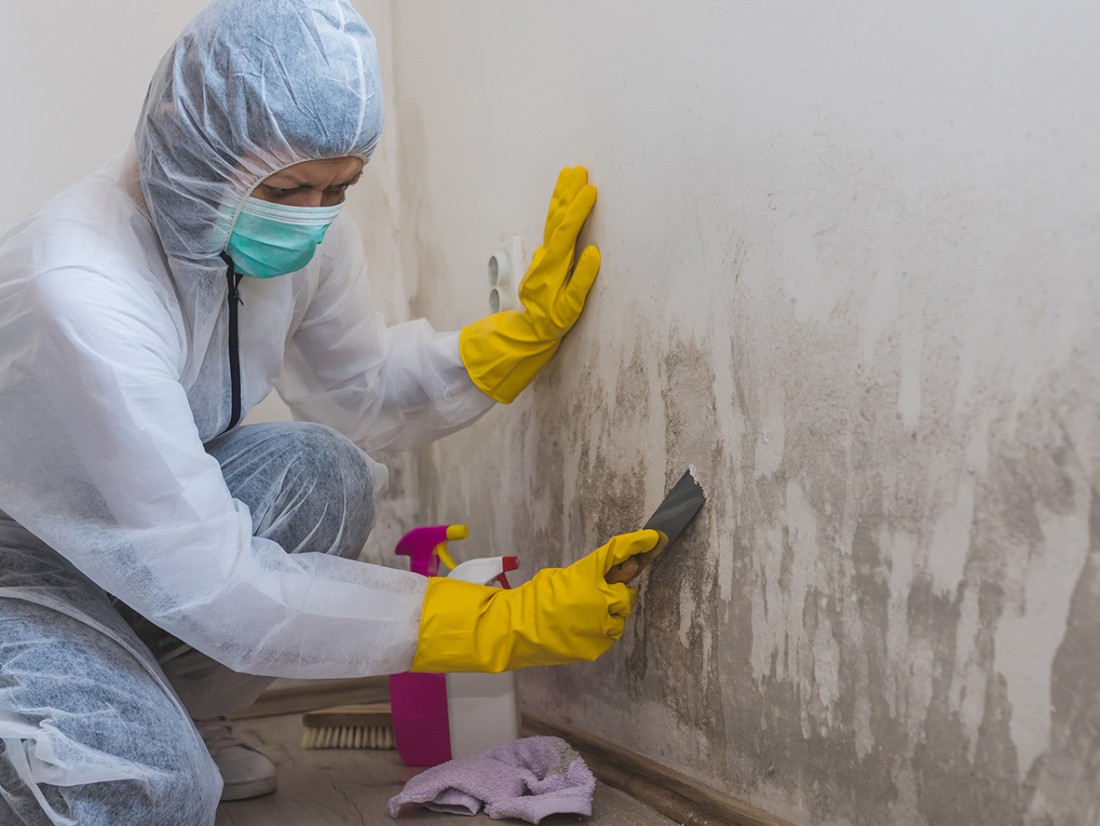 Mold Remediation Services | West Palm Beach, FL | Stanley - mold-remediation-image-2b